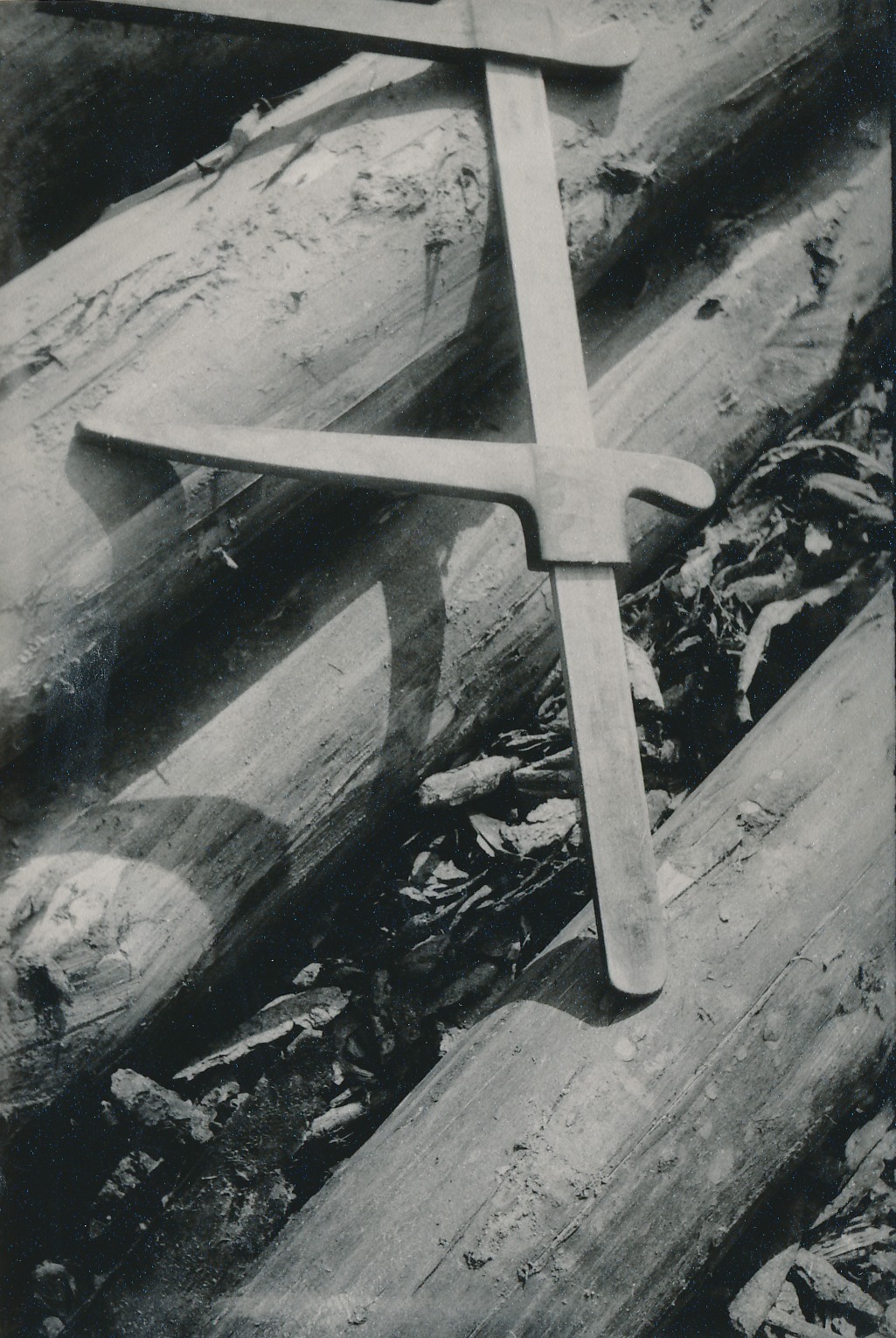 eika image